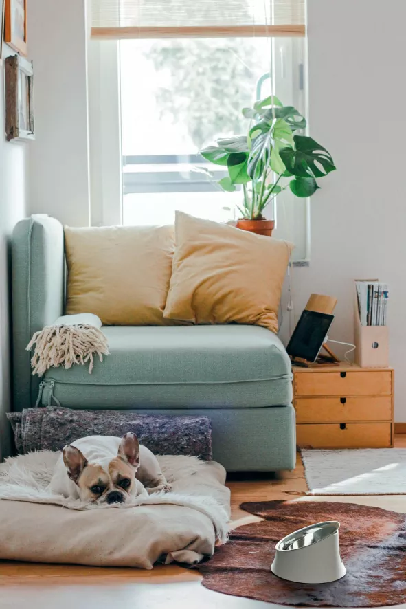 Alessi Wowl Hondenvoerbak 1L Zwart 4 Alessi Wowl Hondenvoerbak 1L Zwart - Afbeelding 2