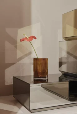 AYTM Folium Vaas Small Amber -Winkel Voor Woninginrichting x886x886 aytm folium vaas small5.jpg.pagespeed.ic .a1SvWxASu4