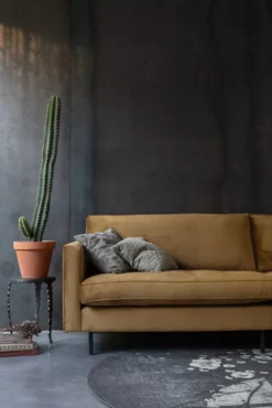 BePureHome Rodeo Velvet Classic Bank 2,5 Zits Roest -Winkel Voor Woninginrichting x886x886 bepurehome rodeo velvet classic bank 2 5 zits17.jpg.pagespeed.ic .ogzcU9 408