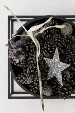 Audo Copenhagen Kubus Bowl Centerpiece Schaal Large Ø23 Zwart -Winkel Voor Woninginrichting x886x886 by lassen bowl centerpiece large woondecoratie22.jpg.pagespeed.ic .dvUdnl9o3i