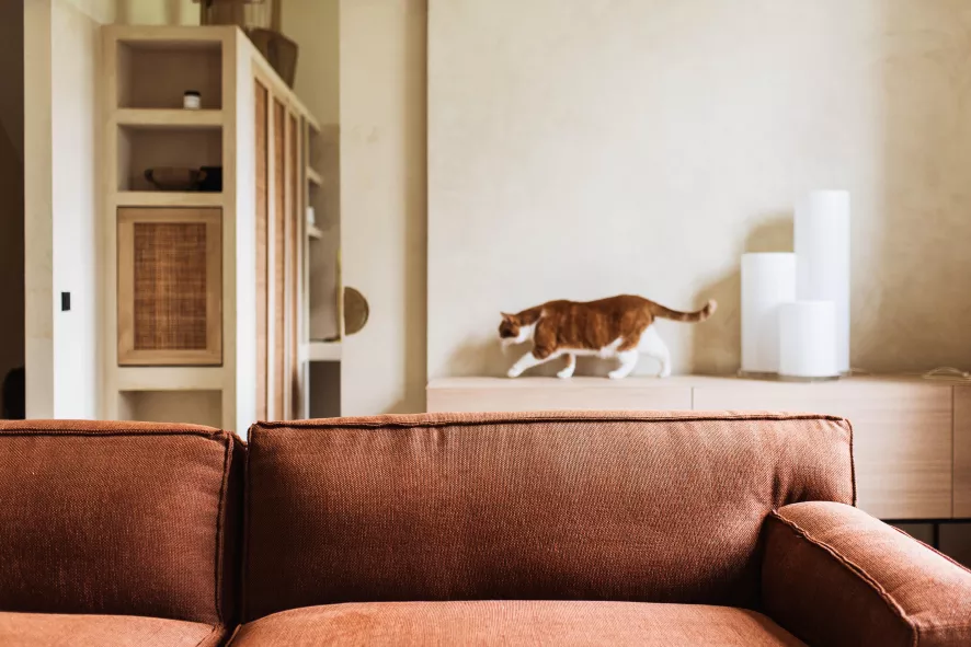 FÉST Clay Bank 3-zits Sydney 22 Beige 14 FÉST Clay Bank 3-zits Sydney 22 Beige - Afbeelding 12