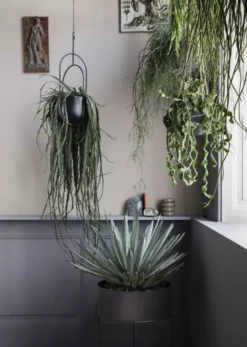 Ferm Living Bendum Vaas -Winkel Voor Woninginrichting x886x886 ferm living hanging deco plantenbak.jpg.pagespeed.ic .fcDEozl it