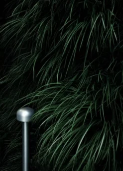 Flos Bellhop Sokkellamp LED Laag Wit -Winkel Voor Woninginrichting x886x886 flos bellhop sokkellamp led laag3.jpg.pagespeed.ic .ix25f2Kfdw