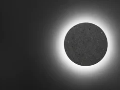 Flos Camouflage 240 Wandlamp LED 3000K Donkerbruin -Winkel Voor Woninginrichting x886x886 flos camouflage 240 buitenlamp led 2700k15.jpg.pagespeed.ic .uGlBK CW9b