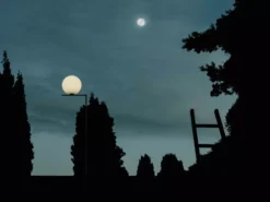 Flos IC Lights F1 Outdoor Vloerlamp Zwart, Voet Zwart Lava -Winkel Voor Woninginrichting x886x886 flos ic f1 outdoor vloerlamp19.jpg.pagespeed.ic .HM8TP2w 8a