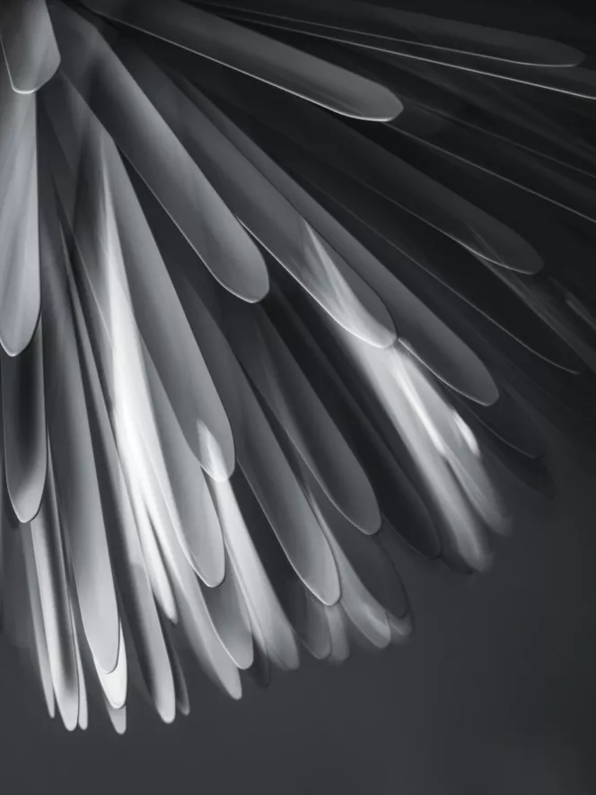 Foscarini Sun Light Of Love Hanglamp Ø65 LED Wit 5 Foscarini Sun Light Of Love Hanglamp Ø65 LED Wit - Afbeelding 3