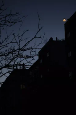 Foscarini Twiggy Grid Outdoor Booglamp LED Greige -Winkel Voor Woninginrichting x886x886 foscarini twiggy grid vloerlamp outdoor led8.jpg.pagespeed.ic .466Ls oFUO