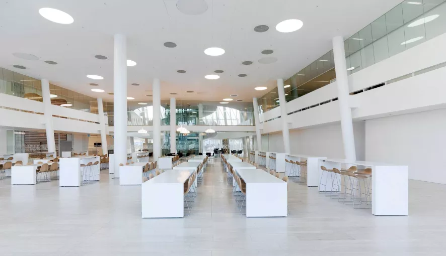 Gubi Gubi 3D Wood Barkruk, Walnoot 6 Gubi Gubi 3D Wood Barkruk, Walnoot - Afbeelding 4