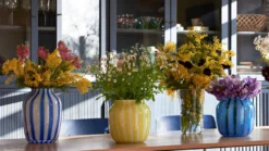 Hay Juice High Vaas Blue -Winkel Voor Woninginrichting x886x886 hay juice vaas high blauw5.jpg.pagespeed.ic .G2rQYda2rj