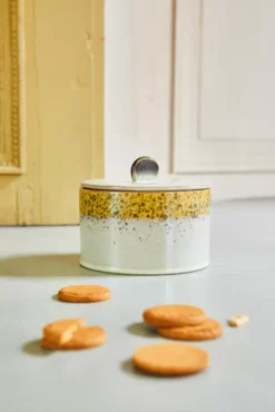 HKliving 70's Ceramic Koektrommel Voorraadpot Cookie Jar Burst -Winkel Voor Woninginrichting x886x886 hkliving 70 s ceramic koektrommel12.jpg.pagespeed.ic .lnVl7Z Q88