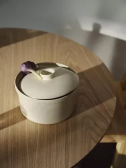 Iittala Teema Ovenschaal Met Deksel Ø20.9 Wit -Winkel Voor Woninginrichting x886x886 iittala teema schaal met deksel5.jpg.pagespeed.ic . c1siPdsdD