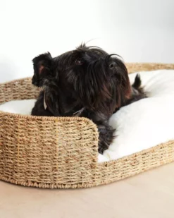 Kave Home Codie Hondenkussen 50x80 -Winkel Voor Woninginrichting x886x886 kave home fliicker hondenmand 35x60.jpg.pagespeed.ic .987t0B1yU3