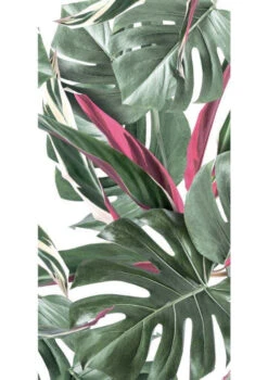 KEK Amsterdam Monstera Botanical Leaves Behang, Pink -Winkel Voor Woninginrichting x886x886 kek amsterdam botanical leaves behang2.jpg.pagespeed.ic .CfqvLA9Rfo