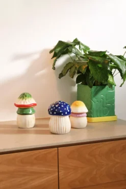 Winkel Voor Woninginrichting -Winkel Voor Woninginrichting x886x886 klevering magic mushroom voorraadpot large.jpg.pagespeed.ic .YFU5YxWmn8