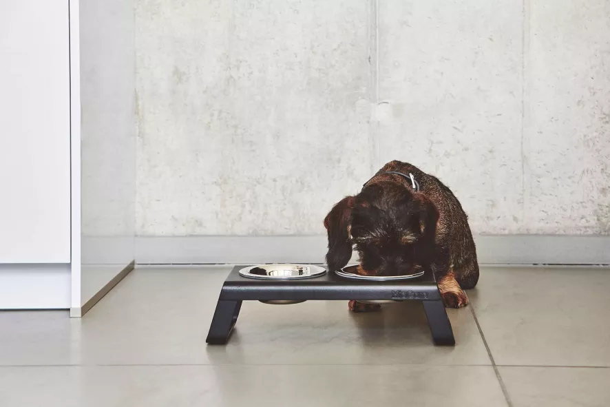 MiaCara Desco Hondenvoerbak Medium Aluminium Grijs 5 MiaCara Desco Hondenvoerbak Medium Aluminium Grijs - Afbeelding 3