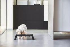 MiaCara Desco Hondenvoerbak Small Essen Zwart 15 MiaCara Desco Hondenvoerbak Small Essen Zwart -Winkel Voor Woninginrichting x886x886 miacara desco hondenvoerbak medium23.jpg.pagespeed.ic .l3VZwi4VJ2 2