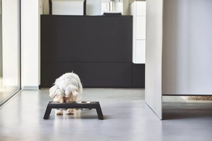 MiaCara Desco Hondenvoerbak Small Aluminium Zwart 9 MiaCara Desco Hondenvoerbak Small Aluminium Zwart - Afbeelding 7