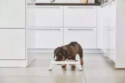 MiaCara Desco Hondenvoerbak Large Aluminium Wit -Winkel Voor Woninginrichting x886x886 miacara desco hondenvoerbak medium24.jpg.pagespeed.ic .aUY84Z4sB 5