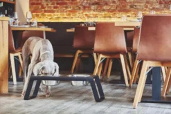 MiaCara Desco Hondenvoerbak Large Aluminium Wit -Winkel Voor Woninginrichting x886x886 miacara desco hondenvoerbak medium25.jpg.pagespeed.ic .j3pooza1mJ 2