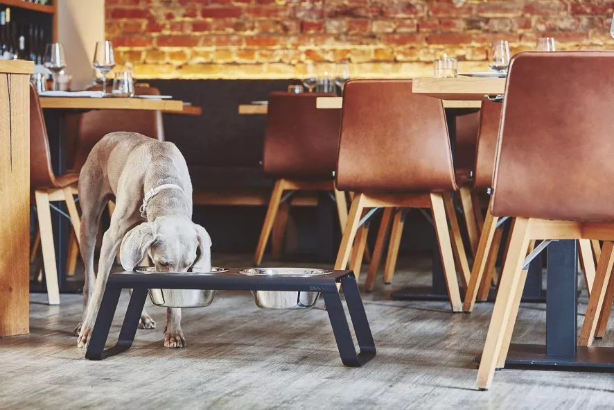 MiaCara Desco Hondenvoerbak Medium Aluminium Grijs 8 MiaCara Desco Hondenvoerbak Medium Aluminium Grijs - Afbeelding 6