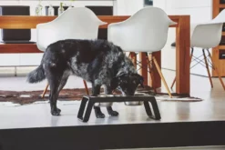 MiaCara Desco Hondenvoerbak Medium Aluminium Grijs 24 MiaCara Desco Hondenvoerbak Medium Aluminium Grijs -Winkel Voor Woninginrichting x886x886 miacara desco hondenvoerbak medium26.jpg.pagespeed.ic .IFqqhlCQZt