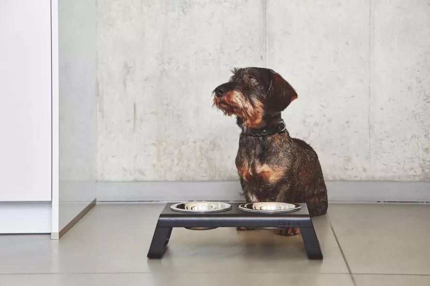 MiaCara Desco Hondenvoerbak Medium Aluminium Grijs 17 MiaCara Desco Hondenvoerbak Medium Aluminium Grijs - Afbeelding 15