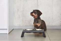 MiaCara Desco Hondenvoerbak Small Aluminium Wit 11 MiaCara Desco Hondenvoerbak Small Aluminium Wit -Winkel Voor Woninginrichting x886x886 miacara desco hondenvoerbak medium34.jpg.pagespeed.ic .1Ds QXa7yc 6