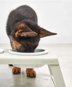 MiaCara Desco Hondenvoerbak Porselein Large Grijs -Winkel Voor Woninginrichting x886x886 miacara desco hondenvoerbak porselein small10.jpg.pagespeed.ic .AMcJWS1AjF