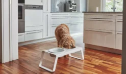 MiaCara Desco Hondenvoerbak Porselein Small Wit -Winkel Voor Woninginrichting x886x886 miacara desco hondenvoerbak porselein small11.jpg.pagespeed.ic .hjPOMS Fdl 4