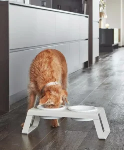 MiaCara Desco Hondenvoerbak Porselein Large Grijs -Winkel Voor Woninginrichting x886x886 miacara desco hondenvoerbak porselein small13.jpg.pagespeed.ic .oUbyeaamyF