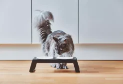 MiaCara Desco Kattenvoerbak Porselein Wit -Winkel Voor Woninginrichting x886x886 miacara desco kattenvoerbak porselein9.jpg.pagespeed.ic .HZkilIVJP9