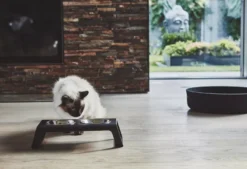 MiaCara Desco Kattenvoerbak Aluminium Zwart -Winkel Voor Woninginrichting x886x886 miacara desco kattenvoerbak21.jpg.pagespeed.ic .DSoaFtmrmE 1