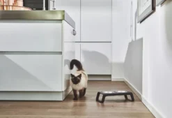 MiaCara Desco Kattenvoerbak Walnoot -Winkel Voor Woninginrichting x886x886 miacara desco kattenvoerbak22.jpg.pagespeed.ic .nCX60xu3I