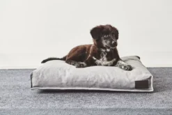 MiaCara Divo Hondenkussen Small Pebble -Winkel Voor Woninginrichting x886x886 miacara divo hondenkussen small.jpg.pagespeed.ic .VE 6keVMre 2