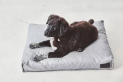 MiaCara Divo Hondenkussen Medium Slate -Winkel Voor Woninginrichting x886x886 miacara divo hondenkussen small1.jpg.pagespeed.ic .YQ89j5Z2A8