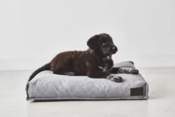 MiaCara Divo Hondenkussen Small Pebble -Winkel Voor Woninginrichting x886x886 miacara divo hondenkussen small2.jpg.pagespeed.ic .S5alnara7G 2