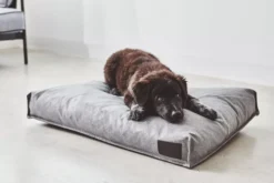 MiaCara Divo Hondenkussen Medium Slate -Winkel Voor Woninginrichting x886x886 miacara divo hondenkussen small3.jpg.pagespeed.ic .h9QXAPk FZ