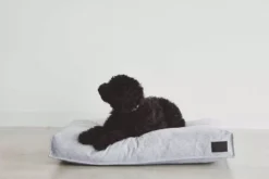 MiaCara Divo Hondenkussen Medium Slate -Winkel Voor Woninginrichting x886x886 miacara divo hondenkussen small5.jpg.pagespeed.ic .sUtZW6R9mS