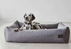 MiaCara Divo Hondenmand Medium Pebble -Winkel Voor Woninginrichting x886x886 miacara divo hondenmand small29.jpg.pagespeed.ic .bcWxaZZ3Ut