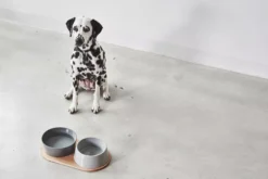 MiaCara Doppio Hondenvoerbak Small Pine -Winkel Voor Woninginrichting x886x886 miacara doppio hondenvoerbak met blad small2.jpg.pagespeed.ic .tUs uRjTaH