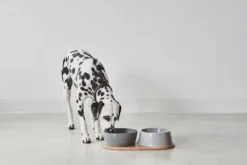 MiaCara Doppio Hondenvoerbak Small Pine -Winkel Voor Woninginrichting x886x886 miacara doppio hondenvoerbak met blad small4.jpg.pagespeed.ic .k5EHvUDsAI