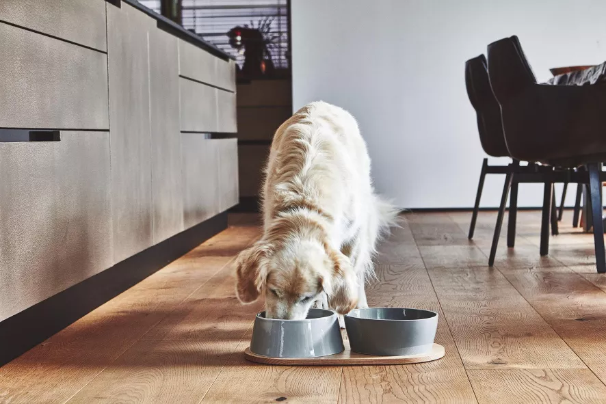 MiaCara Doppio Hondenvoerbak Small Berry 8 MiaCara Doppio Hondenvoerbak Small Berry - Afbeelding 6