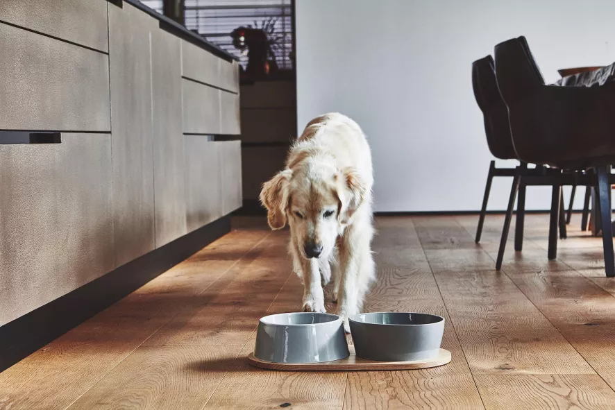 MiaCara Doppio Hondenvoerbak Small Berry 9 MiaCara Doppio Hondenvoerbak Small Berry - Afbeelding 7