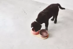 MiaCara Doppio Hondenvoerbak Small Berry 21 MiaCara Doppio Hondenvoerbak Small Berry -Winkel Voor Woninginrichting x886x886 miacara doppio hondenvoerbak met blad small7.jpg.pagespeed.ic .PAdqRx0uvZ 1