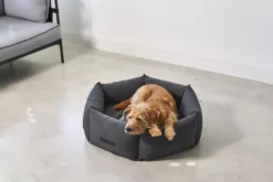 MiaCara Felice Hondenmand Ø80 Medium Sand -Winkel Voor Woninginrichting x886x886 miacara felice hondenmand large10.jpg.pagespeed.ic .lJIDxlchu0