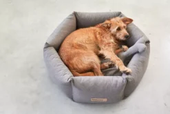 MiaCara Felice Hondenmand Ø80 Medium Sand -Winkel Voor Woninginrichting x886x886 miacara felice hondenmand large2.jpg.pagespeed.ic .s88Yfm XQC