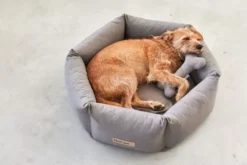 MiaCara Felice Hondenmand Ø80 Medium Sand -Winkel Voor Woninginrichting x886x886 miacara felice hondenmand large4.jpg.pagespeed.ic .1YkWjr7xok