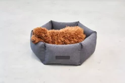 MiaCara Felice Hondenmand Ø80 Medium Sand -Winkel Voor Woninginrichting x886x886 miacara felice hondenmand large5.jpg.pagespeed.ic .dqAwJt zBK