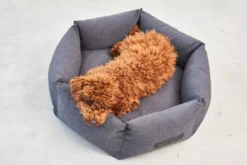 MiaCara Felice Hondenmand Ø80 Medium Sand -Winkel Voor Woninginrichting x886x886 miacara felice hondenmand large7.jpg.pagespeed.ic .Q yoH1Z3WT