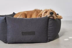 MiaCara Felice Hondenmand Ø80 Medium Sand -Winkel Voor Woninginrichting x886x886 miacara felice hondenmand large9.jpg.pagespeed.ic .0LZ2tOuOYV